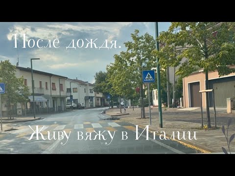 5.06.2025 Четверг! После дождя!