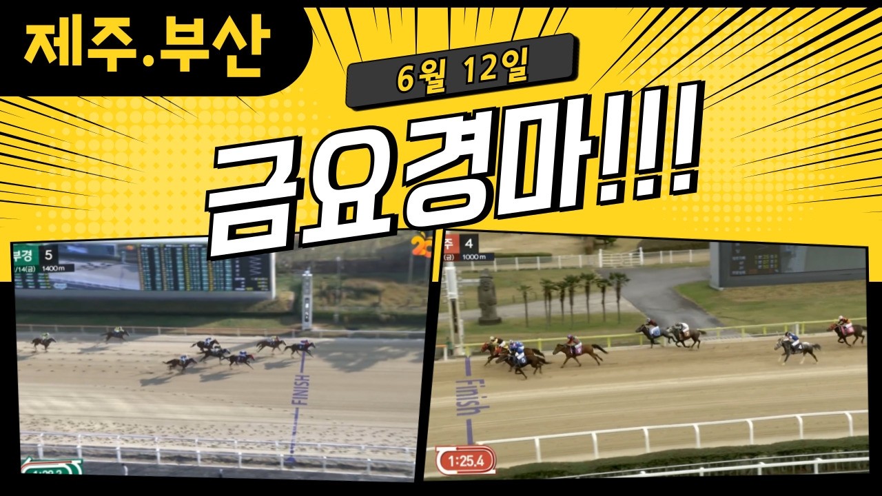 [ 2026년 6월 12일 금요(제주.부산)경마~!]