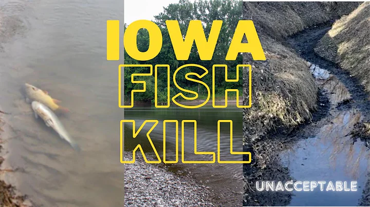 UNACCEPTABLE Iowa Fish Kill - 750,000 fish DEAD - Nishnabotna River Fertilizer Spill near Red Oak