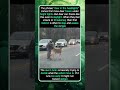 Why Deer Sometimes Freeze in the Road