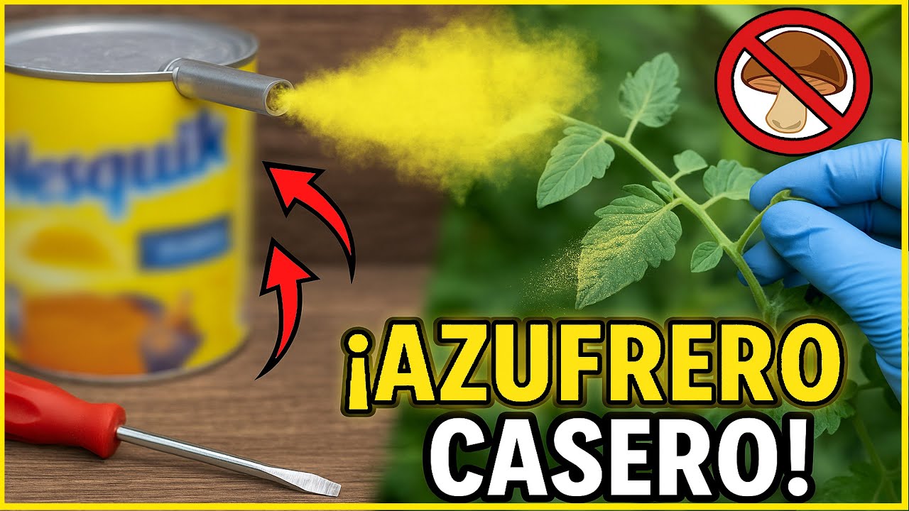 Elimina hongos en tus plantas con este aplicador casero de azufre 🛠️🌿