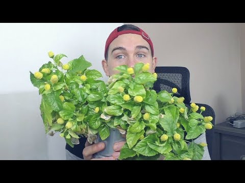 Gabriel Miller - YouTube