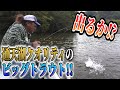 小鳥の声！マイナスイオン！菅釣りトラウトフィッシング‼️