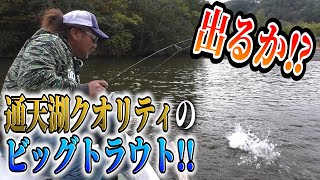 小鳥の声！マイナスイオン！菅釣りトラウトフィッシング‼️