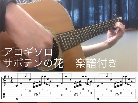サボテンの花 - チューリップ