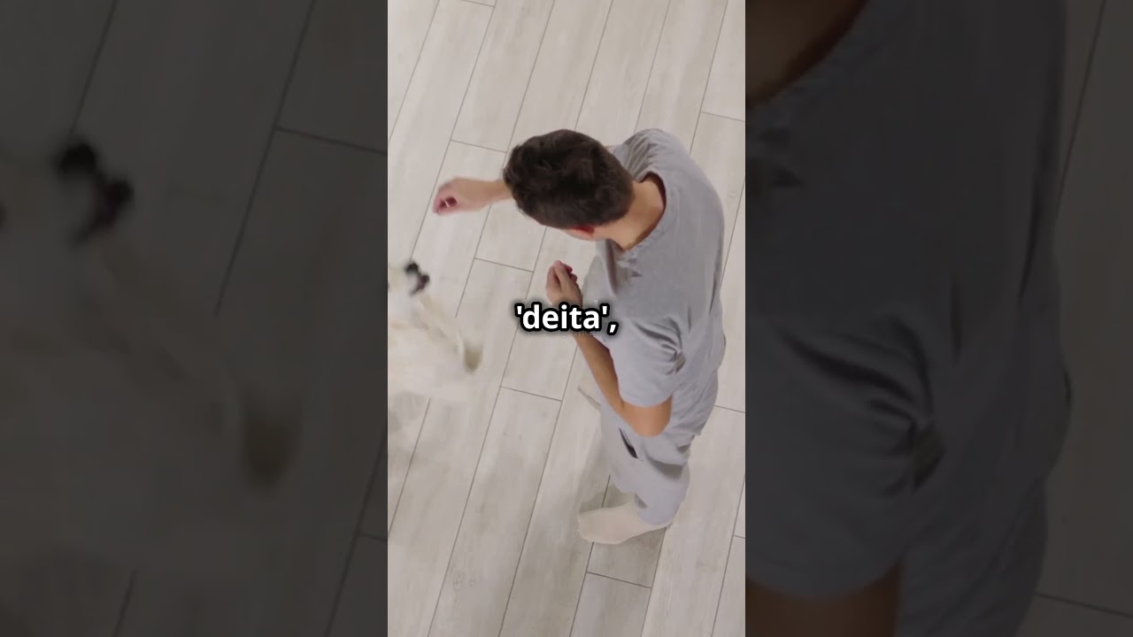 preview_player