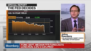Fed Dots Have Been a Terrible Forecast of Actual Policy, BlackRock's Rosenberg Says