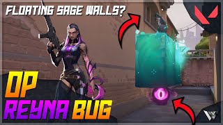 OVERPOWERED REYNA BUG FLOATING SAGE WALLS GAME BREAKING!