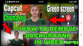HOW TO REMOVE BACKGROUND IN VIDEO USING GREEN SCREEN &CHROMA KEY/KATHERIN'Z VLOG