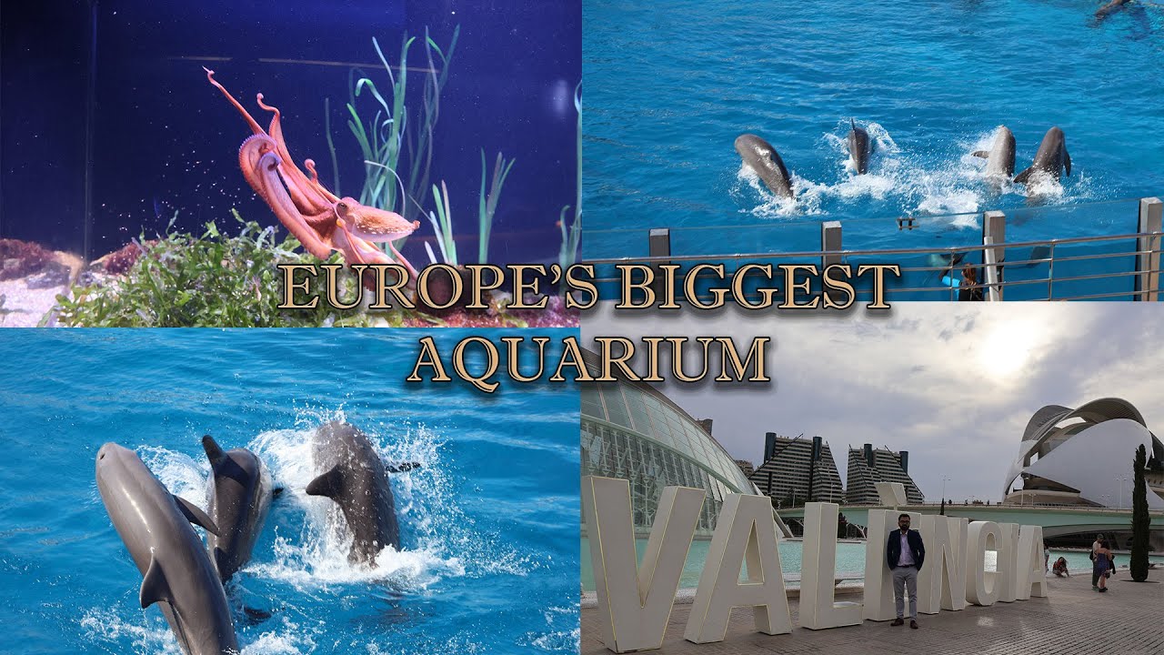 Inside oceanographic Museum | EUROPE এর সবথেকে বড়ো Aquarium & Marine Park | VALENCIA LAST PART 〽️