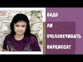 Часть 328* Нарцисс - человек? Исцелить нарцисса.