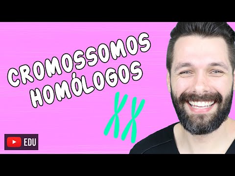 Vídeo: Os cromossomos homólogos têm os mesmos genes?