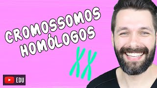 O QUE SÃO CROMOSSOMOS HOMÓLOGOS ? | Biologia com Samuel Cunha