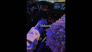 Martin Mkrtchyan - Ay sirun speed up Hakarak