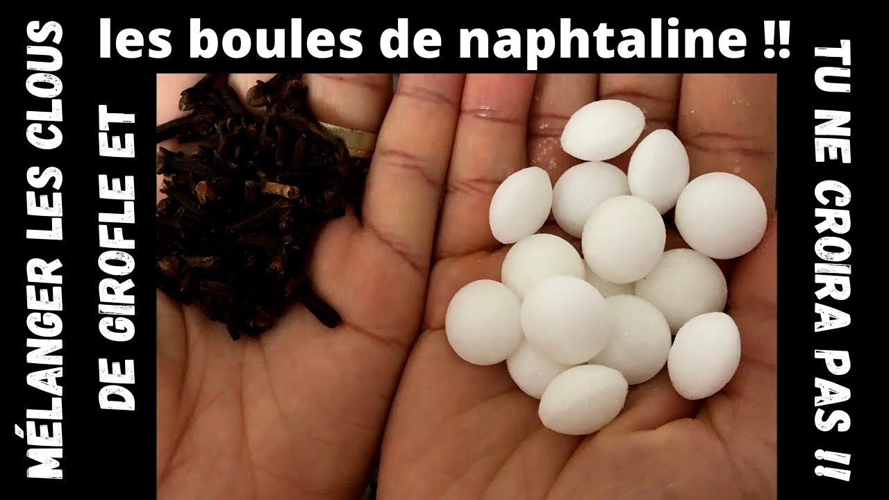 🔴 Mélanger les clous de girofle et les boules de naphtaline !! Tu