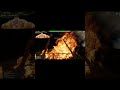 why...why is it a priest? | skyrim