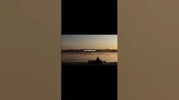 ابحر بجروحي واهاجر علي سعيد الوائلي محمد الشيعي ستوريات حسينيه قصائد حسينية 