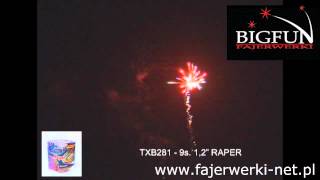 TXB281 RAPER TRIPLEX