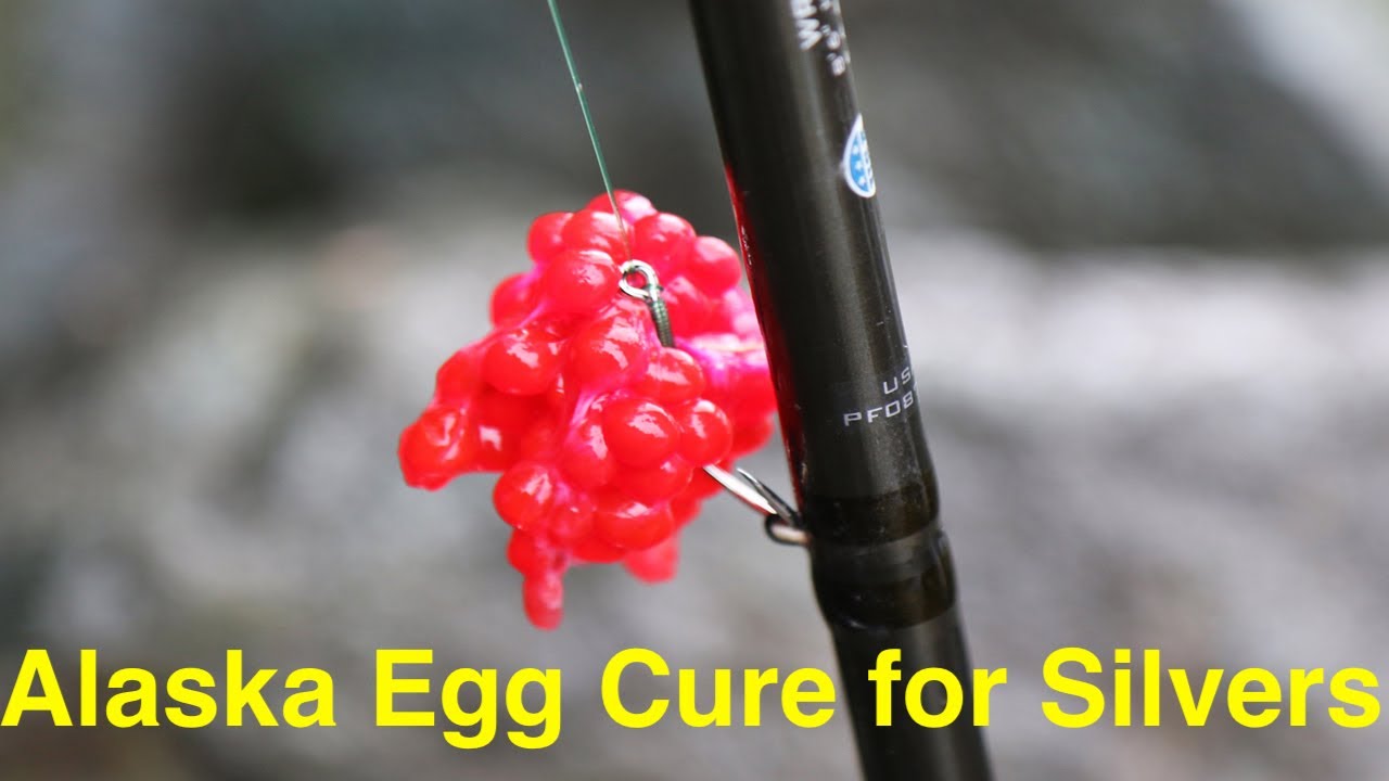 Egg Curing 101: How To Cure Eggs for Alaska Silvers 