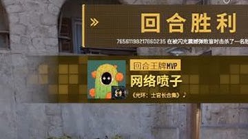 《网络喷子》19 #cs2 #csgo