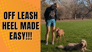 Teaching Your Dog To Heel Off Leash