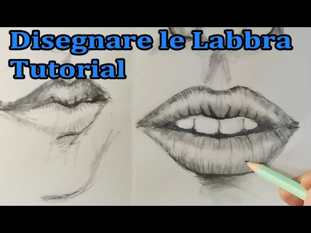 Disegno Labbra