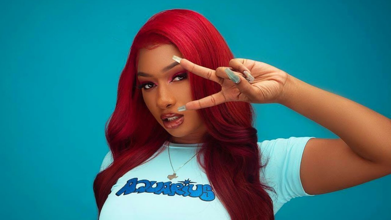 Sg lisa megan thee stallion. Sg lisa megan thee stallion