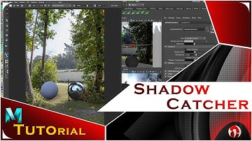 ✔️ 𝐀𝐑𝐍𝐎𝐋𝐃 𝐒𝐇𝐀𝐃𝐎𝐖 𝐂𝐀𝐓𝐂𝐇𝐄𝐑  | 𝐓𝐔𝐓𝐎𝐑𝐈𝐀𝐋 |𝐄𝐍𝐆𝐋𝐈𝐒𝐇| 𝐖𝐈𝐒𝐄 𝐇𝐎𝐀𝐗