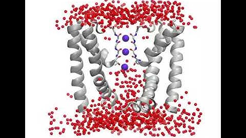 Molecular Dynamics of the NaK2K Potassium Channel