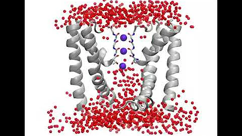 Molecular Dynamics of the NaK2K Potassium Channel