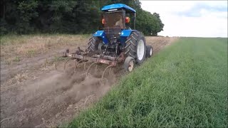 Trying Out Our 500$ Case Chisel Plow !