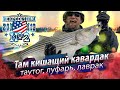 Когда под тобой КИШИТ рыба. Морская рыбалка в проливе Лонг-Айленд, устье Коннектикут, США. 2019/10