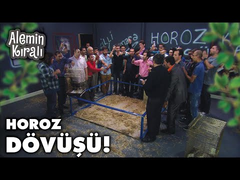 Aslan horoz dövüşü işine girdi! - Alemin Kralı 53. Bölüm