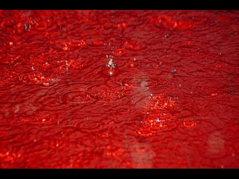 Red Rain In India Shocked Must Watch Youtube