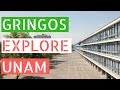 Gringos Explore The Largest University in Latin America (UNAM)