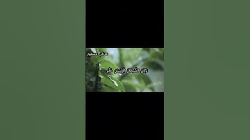 سورة الفرقان وقال الرسول يا رب إن قومي اتخذوا هذا القرآن مهجورا  #القرآن_الكريم #اكسبلور #راحة_نفسية