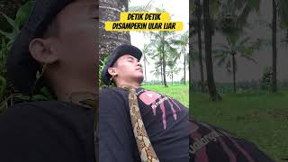 DIDATENGIN ULAR KETIKA TIDUR
