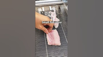 Single groove fish slicing machine