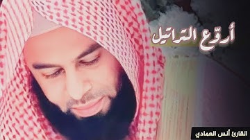 فواتح سورة التوبة للشيخ أنس العمادي | عشاء 5 ذو الحجة 1445 هـ