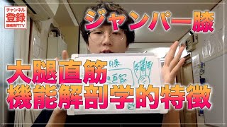 【ジャンパー膝】「大腿直筋」の機能解剖学的特徴《提供；東京ひざ痛専門整体院 京四郎 -KYOSIRO-》