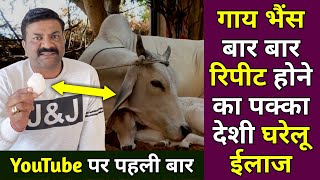 YouTube पर पहली बार देखिए, पशु बार बार रिपीट होने का पक्का ईलाज 💯 | Repeater best natural treatment screenshot 1