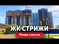 ЖК Стрижи в Краснодаре, птица счастья | Новостройки Краснодара