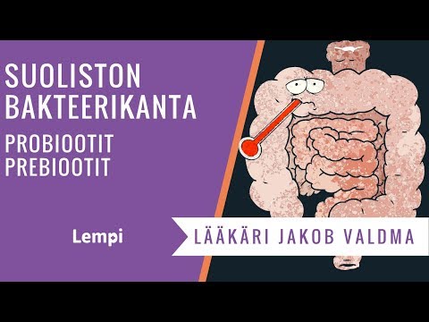 Video: Prebiootit Ja Laihtuminen Lemmikkeissä