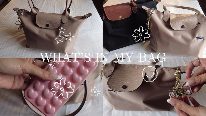 LONGCHAMP LE PLIAGE TOTE SMALL VS MEDIUM👜 comparing styles, sizes & what  fits inside