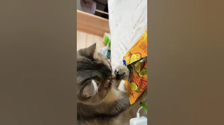 Watch the video about 😍The Best Of Animals 😻Cat And 🐶Dog Viral Funny 🤣Shorts Videos 🐶😻🤣🤣#shorts #kitten #pets #viralvideo