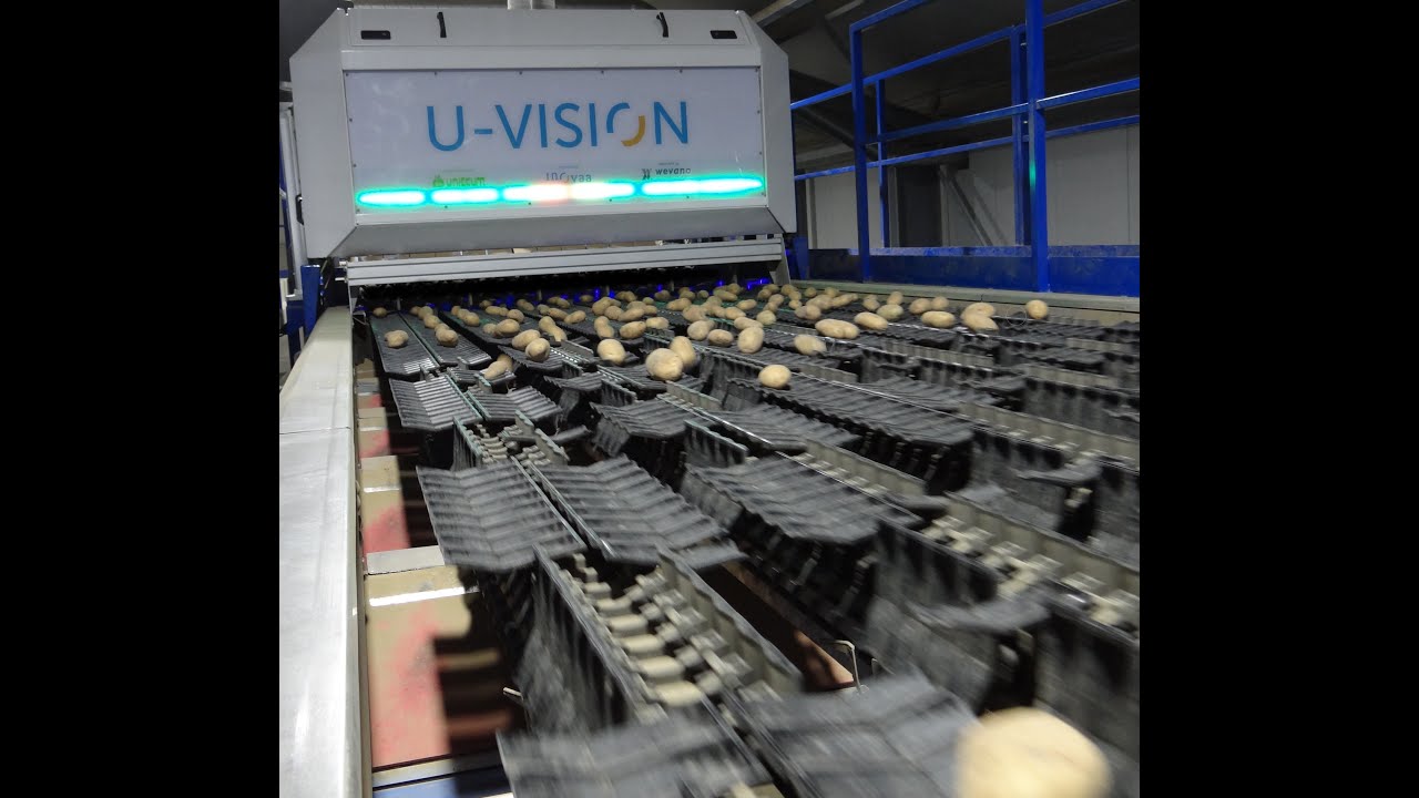 Vision Sort Machine U-Vision, optical sorting machine for potatoes - YouTube