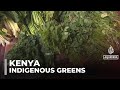 Kenya Promotes Indigenous Greens As Healthier Food Option Replacing Colonial Veggies Kenya Promotes Indigenous Greens As Healthier Food Option Replacing Colonial Veggies