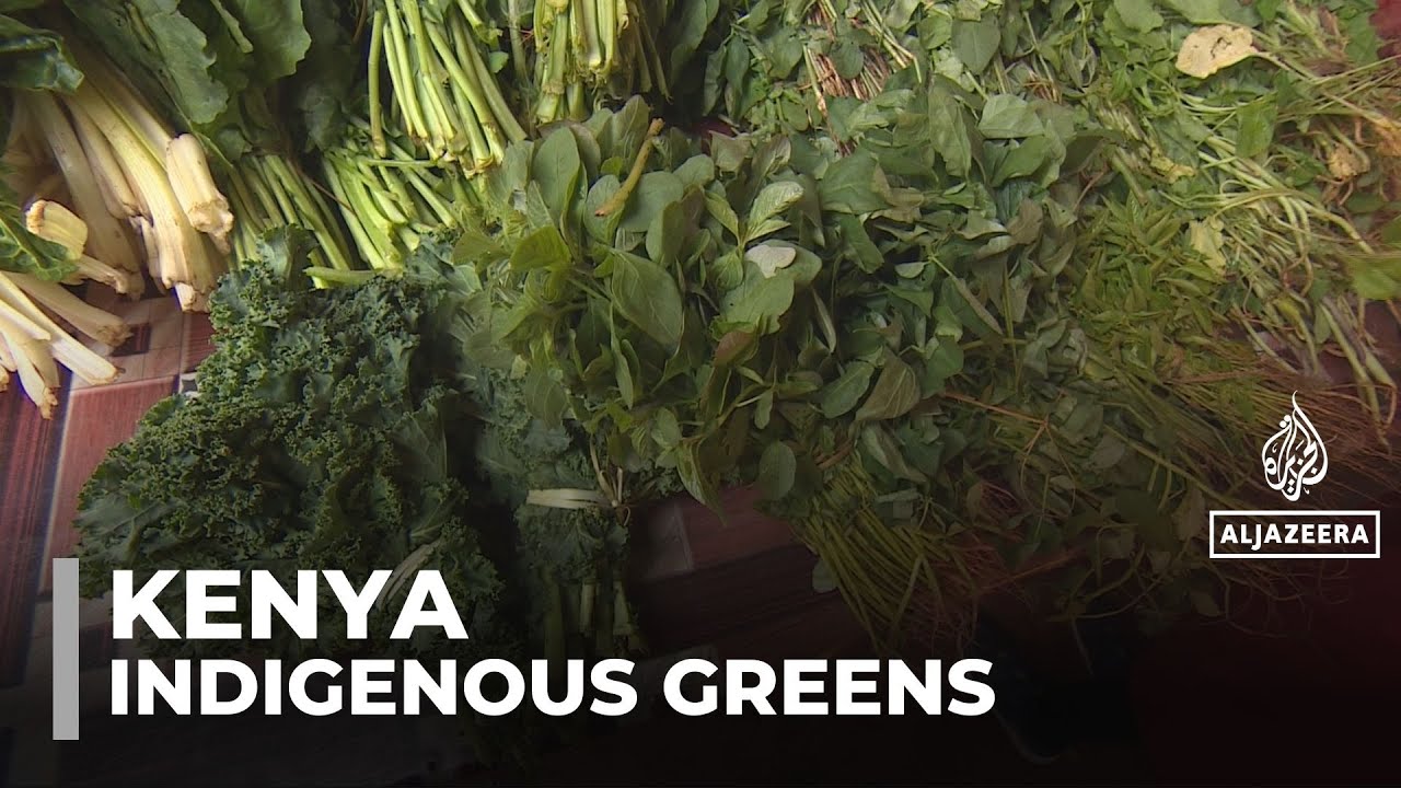Кения продвигает местную зелень как более здоровый вариант питания, заменяя колониальные овощи