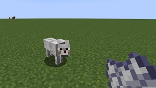 Can we TAME a wolf with BONE MEAL? screenshot 3