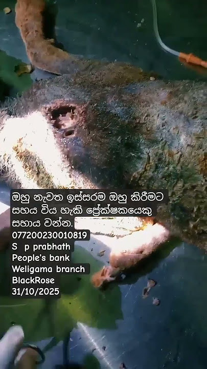 0771192846 එයාට උදවු කරන්න කැමති කෙනෙක් මට කෝල් එකක් දෙන්න.